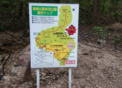 DSC_0187.JPG